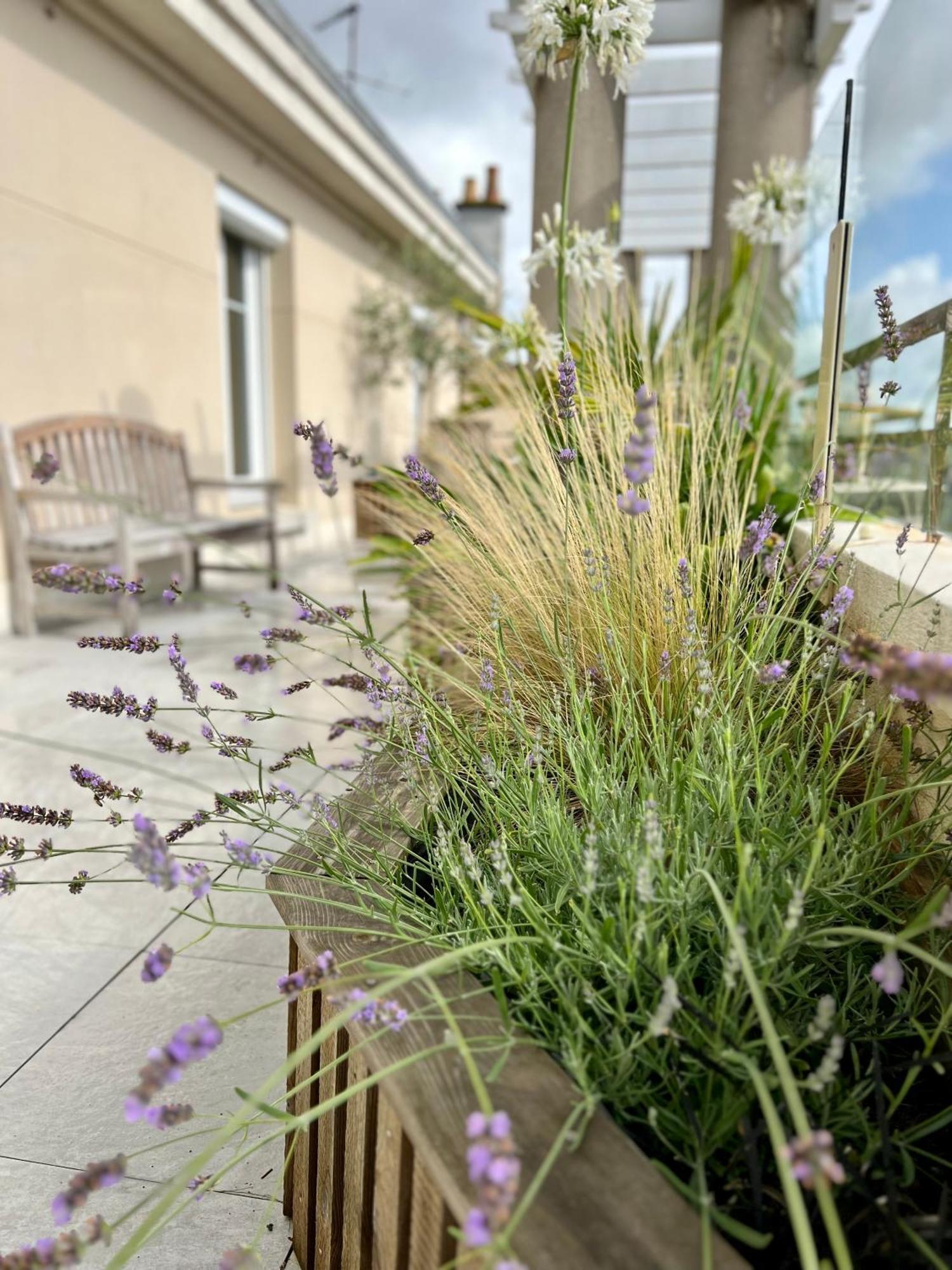 L'isly, Dernier Etage En Centre De Avec Terrasse De 50m2 *
